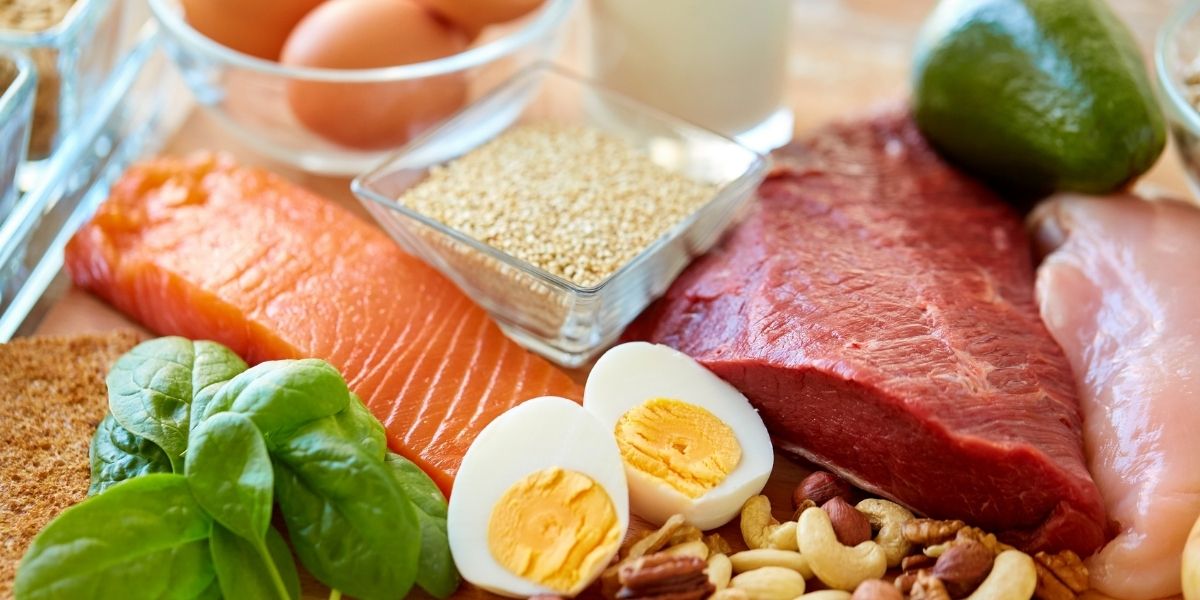 protein rich food